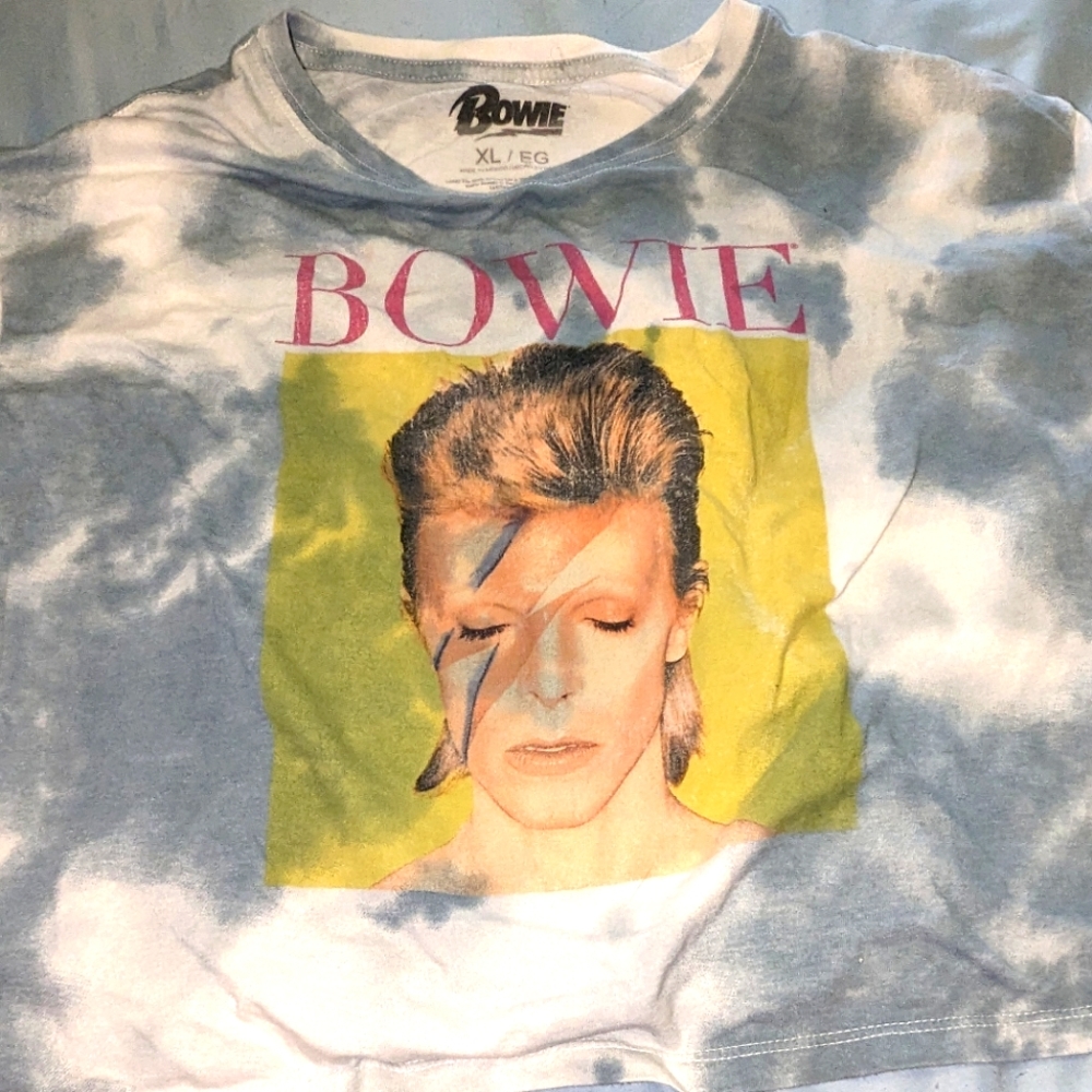 Size 3x women's David Bowie crop top from Old Navy